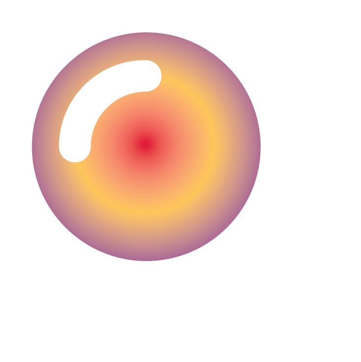 ERP_magnify white