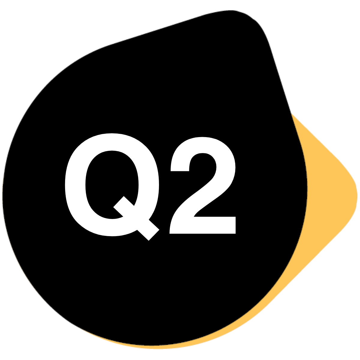 Q2 Icon