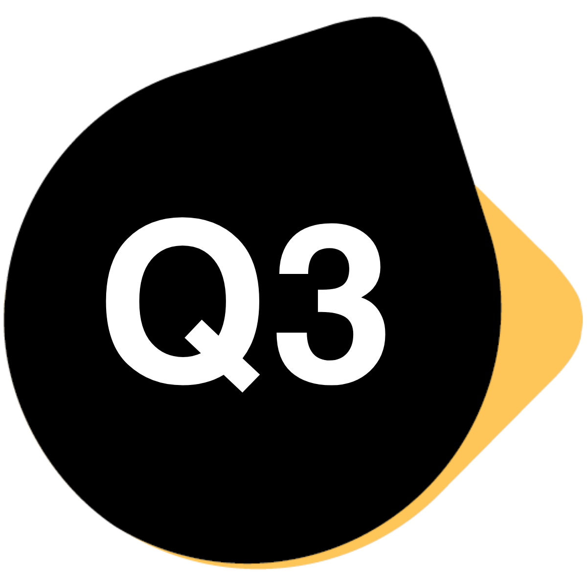 Q3 Icon (1)